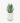 Potted Plant